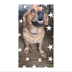 Meet your Posher, Tanis